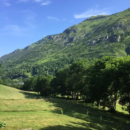 Belle Vie Pensionat Campan